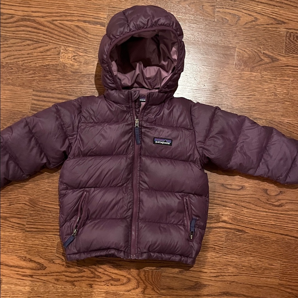 Patagonia Maroon Hooded Jacket